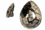8.4" Septarian "Dragon Egg" Geode - Removable Section - #200201-3
